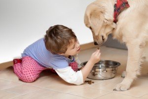 Una mascota le enseña el sentido de la responsabilidad