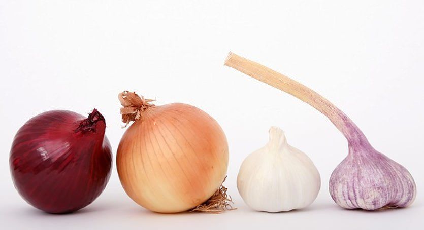 beneficios del ajo
