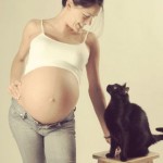 embarazo-y-los-gatos-2