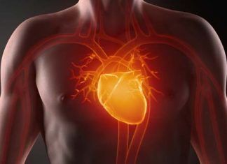 3 Hábitos para cuidar la salud cardiovascular