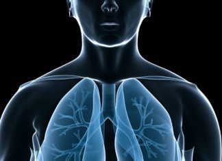 La respiración, signos vitales