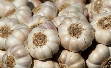 Ajo en ayunas – Conoce sus grandes beneficios El ajo; conocido como un alimento capaz de condimentar comidas saladas. Es una alta fuente de antioxidantes; contrarresta los efectos de la molesta acidez. No solo eso; también favorece la circulación, ayudando a mejorar la actividad cardíaca.