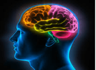 Quejarnos puede perjudicar nuestro cerebro