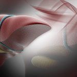 Hígado y sus posibles daños por el consumo de algunas medicinas Hígado, posibles daños por medicamentos