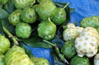Noni, el nuevo boom para la salud de las personas, ¡Conozcámoslo! Noni