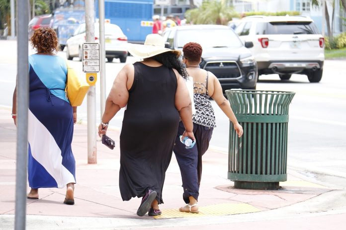 La obesidad y el sobrepeso representan uno de los principales problemas de salud; bajo cualquier nivel socioeconómico, etnia, edad y circunstancia.