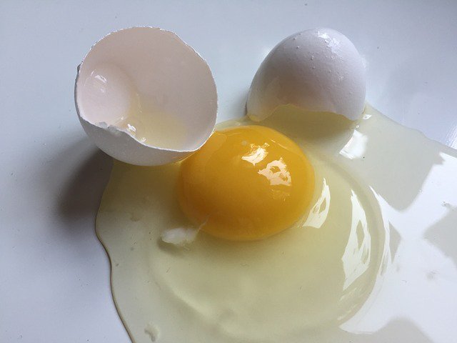 Clara de huevo