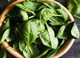 Jugo de espinaca, kiwi y lechuga – Bebidas verdes