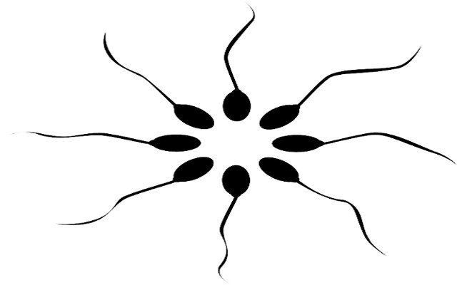 Recuento de Espermatozoides