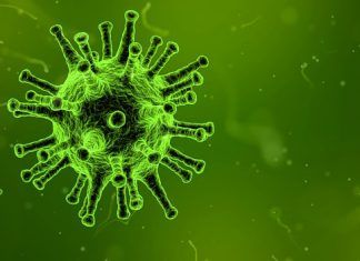 ¿Qué son los triglicéridos? – Términos importantes de nuestro organismo ¿Qué son los triglicéridos? – Términos importantes de nuestro organismo