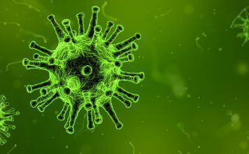 ¿Qué son los triglicéridos? – Términos importantes de nuestro organismo ¿Qué son los triglicéridos? – Términos importantes de nuestro organismo