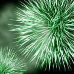 ¿Qué son los hematíes? – Términos importantes de nuestro organismo