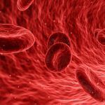 ¿Qué es la hemoglobina? – Términos importantes de nuestro organismo