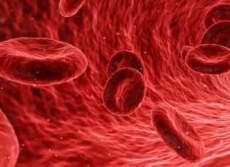 ¿Qué es la hemoglobina? – Términos importantes de nuestro organismo