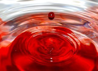 Sangre en la orina