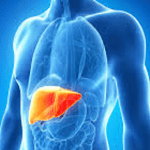 Vacuna contra la hepatitis B