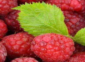 Batido de frambuesa y manzana – Bebidas saludables Batido de frambuesa y manzana – Bebidas saludables