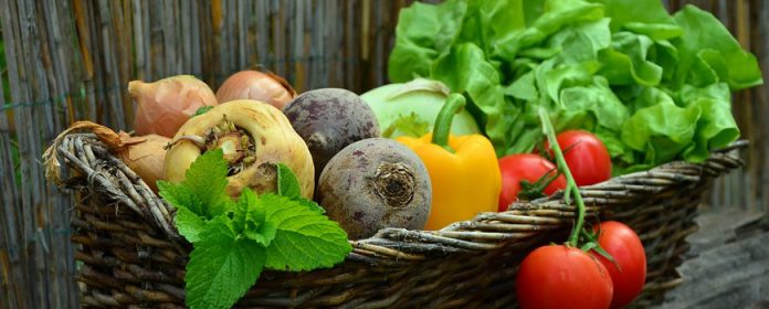 Ensalada verde con hongos – Recetas saludables