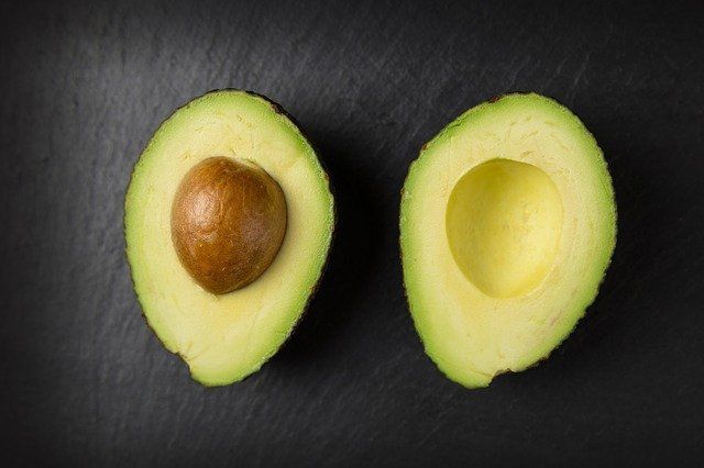 avocado aguacate avocado palma