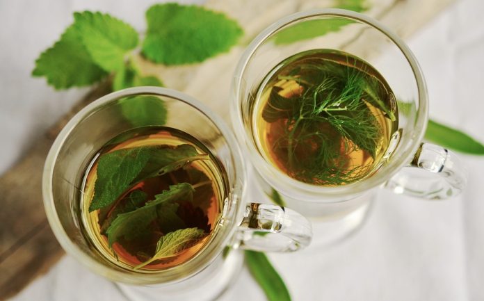 Batido de pepino, alfalfa y miel – Recetas de bebidas
