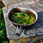 Zumo de sábila y kiwi – Recetas de bebidas