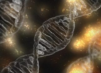 Mutaciones genéticas que pueden provocar el desarrollo de los tumores Mutaciones genéticas