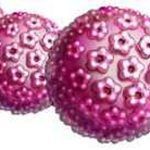 Virus Papiloma humano