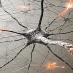 Cansancio, cuando el cerebro no “reacciona” bien y lo manifiesta cansancio