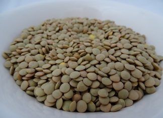 lentejas