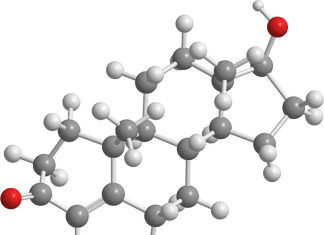 vital testosterona