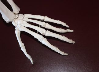Estar activo y hacer ejercicios aún sufriendo de artritis Estar activo y hacer ejercicios