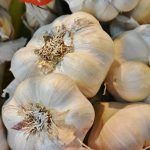 beneficios del ajo