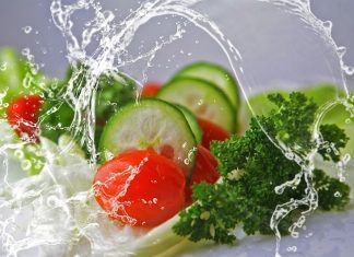 Nutrientes necesarios
