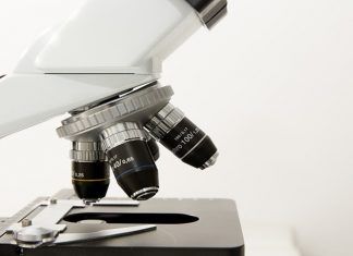 Inmunoterapia con anticuerpos para evitar que el cáncer pase desapercibido Inmunoterapia con anticuerpos