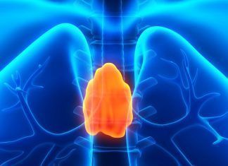 TIMO ¿SABES QUÉ ES? sistema-inmune-linfocitos