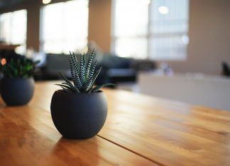 Los beneficios de sembrar en casa siembra en casa