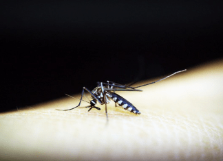 La lucha contra la malaria