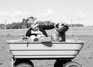 Terapia Asistida con Animales