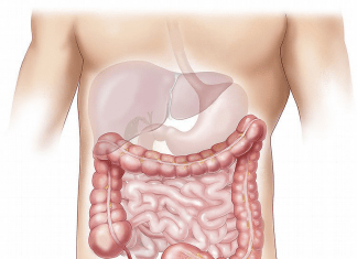 Alimentos que limpian tu colon