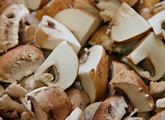 Beneficios del consumo de hongos