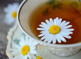 Contraindicaciones que pueden presentarse con la manzanilla