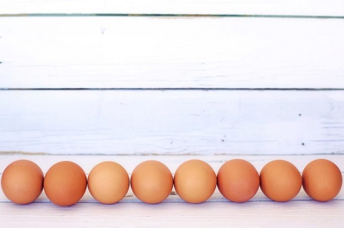 Huevos y su beneficio a la salud cardiovascular