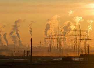 La calidad del aire puede alterar el ciclo menstrual