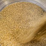 Levadura de cerveza: beneficios que aporta a la salud