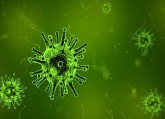 los virus
