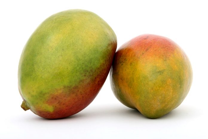 El mango fruta tropical