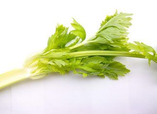 Apio, propiedades saludables de esta verdura verde
