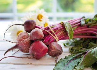 Combatir la anemia gracias al jugo de remolacha