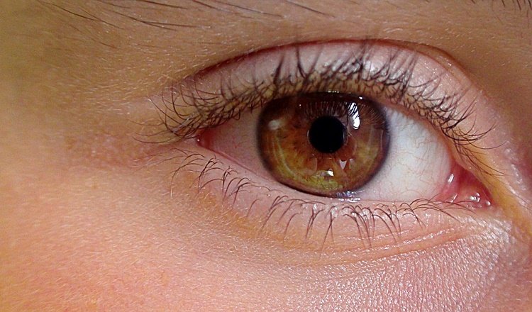 Glaucoma es el principal factor que causa la ceguera a nivel mundial
