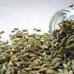 Hinojo como planta medicinal altamente recomendada Hinojo como planta medicinal altamente recomendada